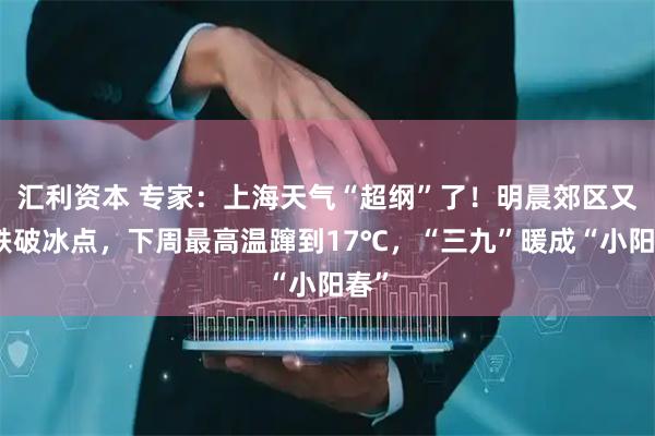 汇利资本 专家：上海天气“超纲”了！明晨郊区又要跌破冰点，下周最高温蹿到17℃，“三九”暖成“小阳春”
