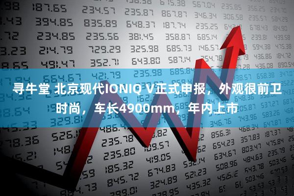 寻牛堂 北京现代IONIQ V正式申报，外观很前卫时尚，车长4900mm，年内上市